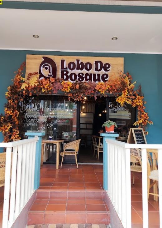 Entrada de Lobo de Bosque con arco de hojas de otoño